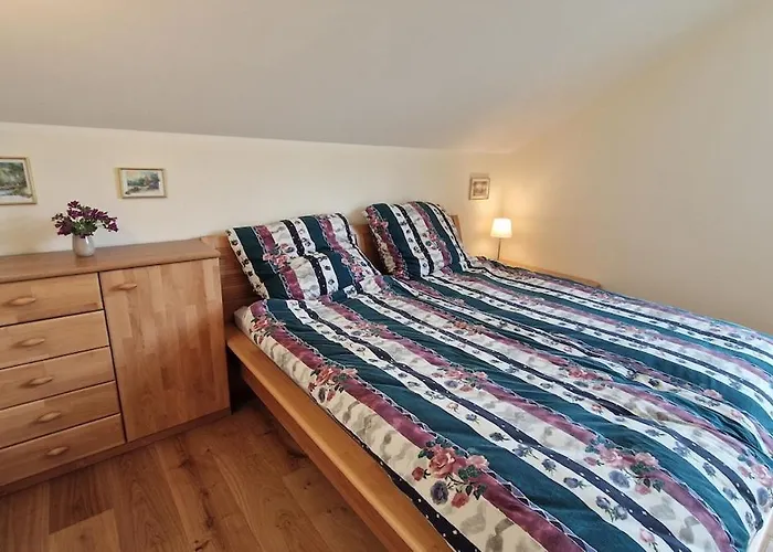 Feel Good, Enjoy Nature In A New Eco-wooden House